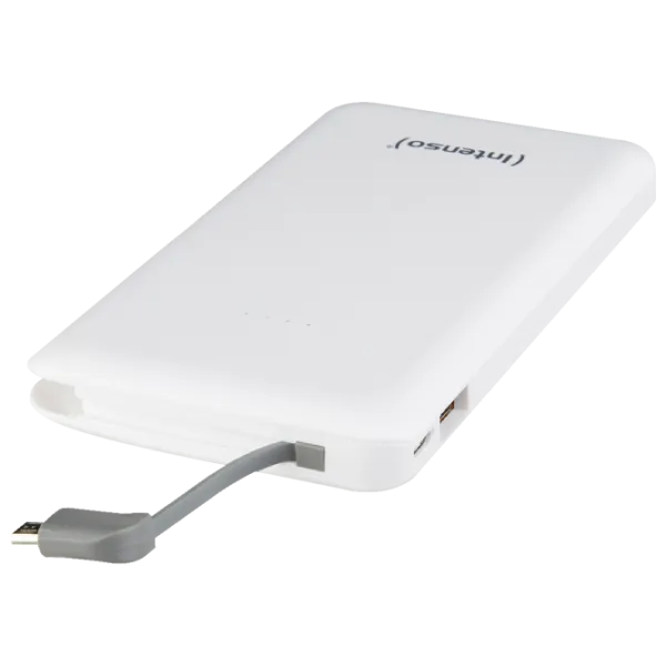 Power Bank Intenso Slim S10000 10000 мАч/ Белый photo 3