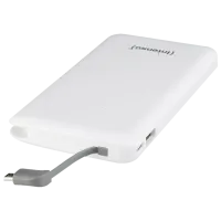 Power Bank Intenso Slim S10000 10000 мАч/ Белый photo 3