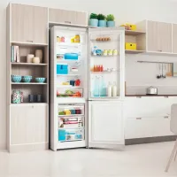 Frigider Indesit ITS 4200 W cu congelator jos 324 l / 196 cm / White photo 5