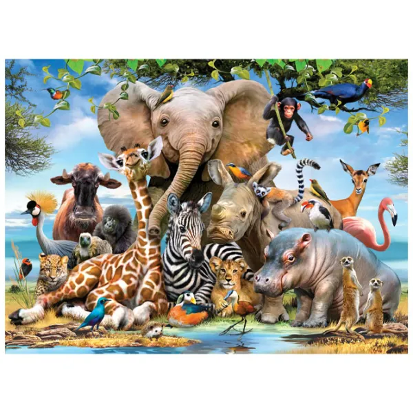 Puzzle 2D Anatolian Africa Smile 12+/ Numărul de piese: 1000 photo 2