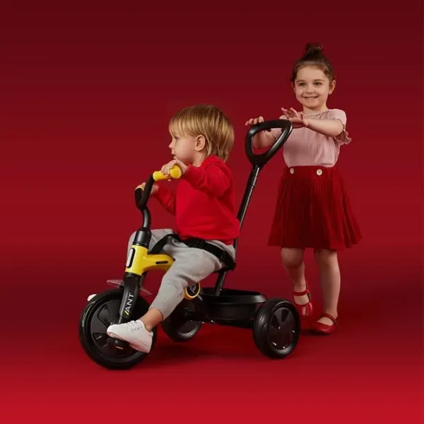Triciclu Qplay Ant Plus 25 kg/ Gray photo 7