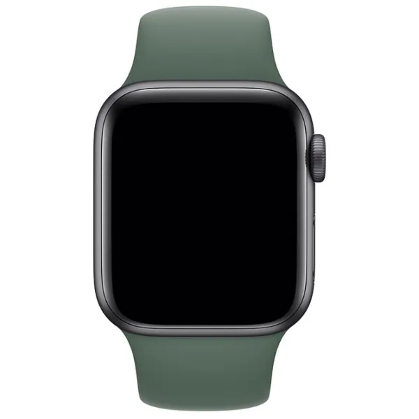 Curelușă Apple Watch S/ M & M/ L Silicon/ 38/ 40 mm/ Green Pine photo 2 Curelușă Apple Watch S/ M & M/ L Silicon/ 38/ 40 mm/ Green Pine photo 2