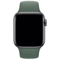 Curelușă Apple Watch S/ M & M/ L Silicon/ 38/ 40 mm/ Green Pine photo 2