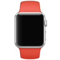Curelușă Apple Watch S/ M & M/ L Silicon/ 38/ 40 mm/ Orange Pine photo 2