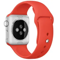 Curelușă Apple Watch S/ M & M/ L Silicon/ 38/ 40 mm/ Orange Pine photo 3