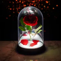 Настольная лампа фан Paladone Enchanted Rose V3 Красный photo 2