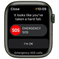 Умные часы Apple Watch Series 7 + Cellular MKJR3WB/ A/ Зелёный/ Clover Sport photo 7