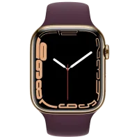 Умные часы Apple Watch Series 7 + Cellular MKJX3WB/ A/ Нержавеющая сталь Золотой/ Dark Cherry Sport photo 2