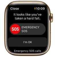 Умные часы Apple Watch Series 7 + Cellular MKJX3WB/ A/ Нержавеющая сталь Золотой/ Dark Cherry Sport photo 6
