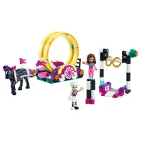 Constructor pentru copii LEGO Magical Acrobatics Acrobaţie/ Multicolor photo 2