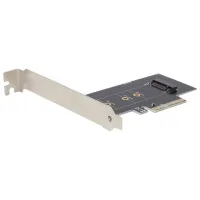 Adapter Gembird PEX-M2-01 PCI Express x4/ Black photo 2