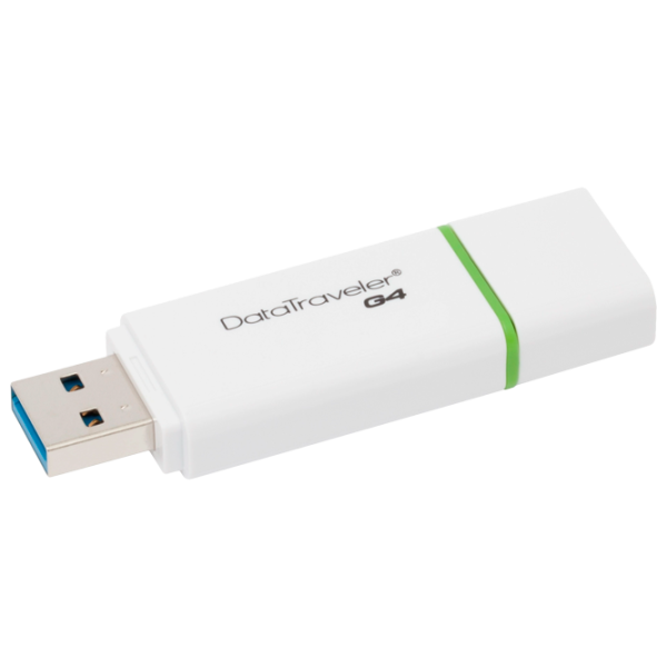 Kingston DataTraveler G4 16 GB White/ Green photo 2