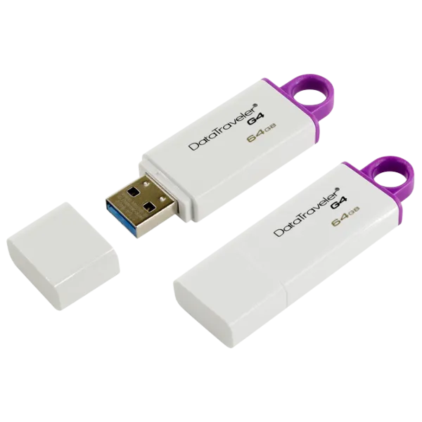 Kingston DataTraveler G4 64 ГБ Белый photo 2