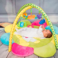 Covoraş pentru joc Lorelli PLAYMAT Plush Play Gym Sheep (10300370000) 0+/ Transformer/ Multicolor photo 2