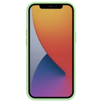 Husă pentru smartphone Apple iPhone 13 Pro Max Nillkin/ Back/ TPU/ PC/ Mint Green photo 3
