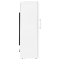 Congelator Indesit ITU 1175 White photo 3