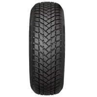Anvelope GT Radial WinterPro 2 225/ 55 R16 99H XL Iarnă/ Autoturism photo 2