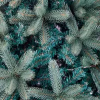 Brad DiviTrees Grand Elite 270cm/ Green photo 3