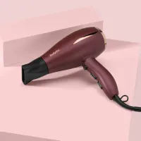 Uscător de păr Babyliss 5753PE 2200 W / Bordo photo 5