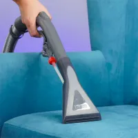 Soluție pentru suprafețe textile THOMAS ProTex 787502 pentru îndepartarea murdăriei photo 2