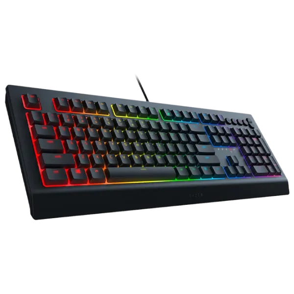 Клавиатура Razer Cynosa V2 Проводная/ Черный photo 2