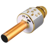 Microfon Helmet KTV WS-858 Gold photo 2