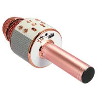 Microfon Helmet KTV WS-858 Rose Gold photo 2