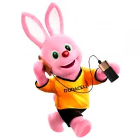 Батарейка Duracell Lithium LR03 1.5 В/ 4 шт. photo 2