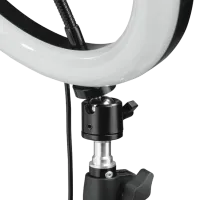 Trepied cu lampă Hama SpotLight Steady-120 304 mm Black photo 5