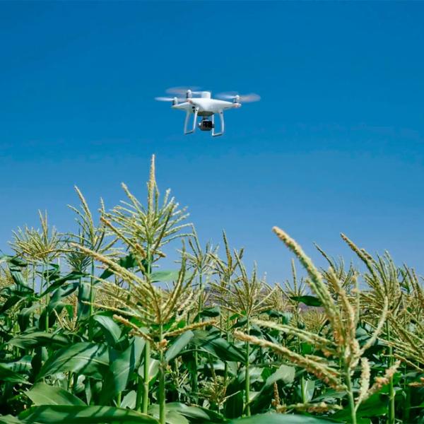 Dronă DJI Phantom 4 Multispectral Agrar / White photo 5