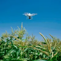 Dronă DJI Phantom 4 Multispectral Agrar / White photo 5