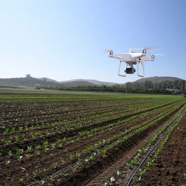 Dronă DJI Phantom 4 Multispectral Agrar / White photo 7