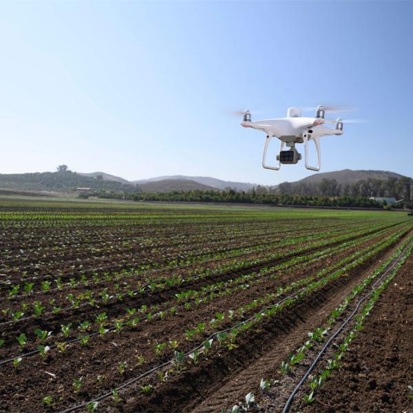 Dronă DJI Phantom 4 Multispectral Agrar / White photo 7