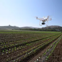 Dronă DJI Phantom 4 Multispectral Agrar / White photo 7