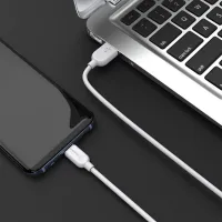 Cablu pentru telefon BX-14 Borofone USB Type-A + USB Type-C 3 m/ White photo 6