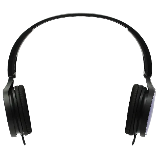 Наушники Panasonic RP-HF300GC Синий Черный Проводная/ Персональный photo 2