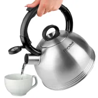 Ceainic Rondell RDS-237 2.4 l Oțel inoxidabil/ Bachelit/ Steel photo 3