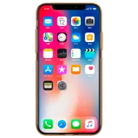 Husă pentru smartphone Apple iPhone X/ XS Nillkin/ Back/ TPU/ Transparent Gold photo 4