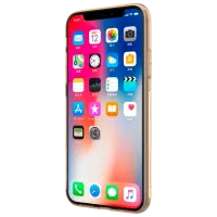 Husă pentru smartphone Apple iPhone X/ XS Nillkin/ Back/ TPU/ Transparent Gold photo 5