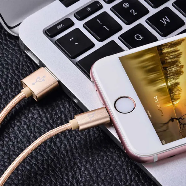 Cablu pentru telefon X2 Hoco USB Type-A + Lightning 1 m/ Gold photo 2