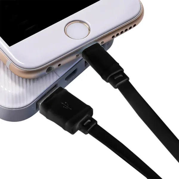 Cablu pentru telefon 20484 Screen Geeks USB Type-A + Lightning 1 m/ Black photo 4