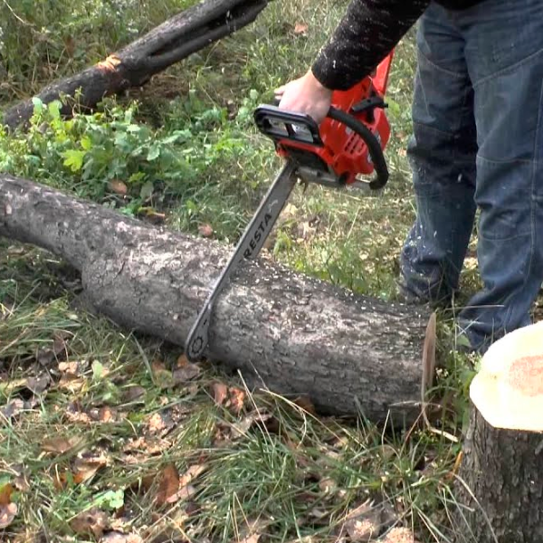 Fierăstrău cu lanţ Foresta FA-58S pe benzină/ Red photo 4