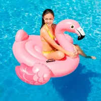 Надувной матрас Intex 57558 Винил/ Розовый photo 2