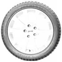 Шины Sailun Ice Blazer WST1 195/ 65 R16C 104R Зима/ Легкогрузовой photo 2