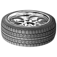 Шины Roadstone WinGuard Ice 205/ 55 R16 91Q Зима/ Легковой photo 2