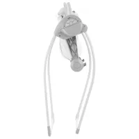 Детские качели Chipolino Felicity (3800931039059) 9 кг/ Белый photo 3