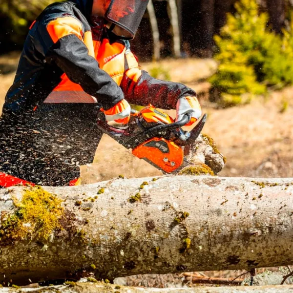 Fierăstrău cu lanţ OMAC MF 2500 pe benzină/ Orange photo 13