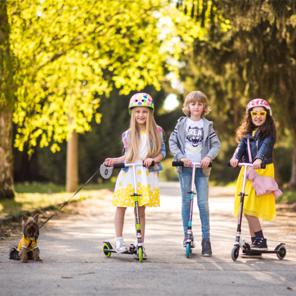 Trotinetă pentru copii cu două roți Lorelli Thunderbird (10390060008) 20 kg/ Blue photo 5