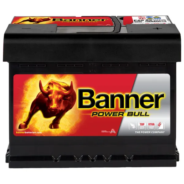 Авто аккумулятор Banner Power Bull P62 19 550A photo 3