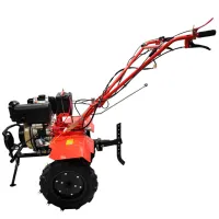 Motocultor Technoworker 105 DE 178FE 4 timpi/ Motorină photo 3